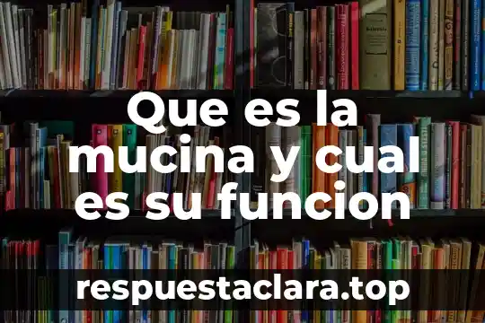 Que es la mucina y cual es su funcion