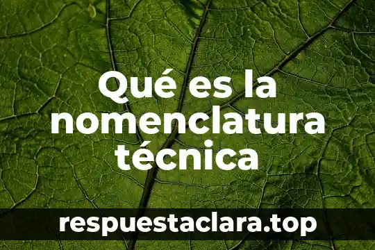 Que es mediocre significado 6 Qué es la nomenclatura técnica