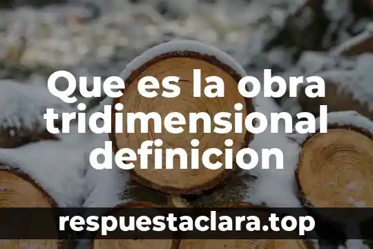 Que es la obra tridimensional definicion