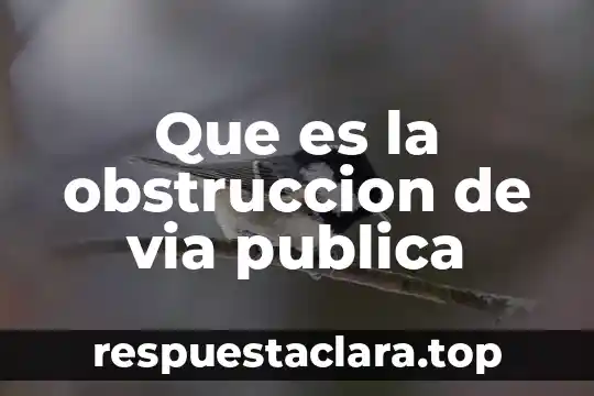 Que es la obstruccion de via publica