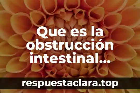 Que es la obstrucción intestinal cuidados de enfermería