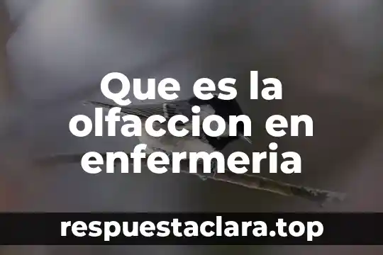 Qué es importerismo en enfermería concepto 6 Que es la olfaccion en enfermeria