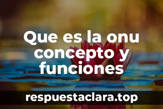 Que es la onu concepto y funciones