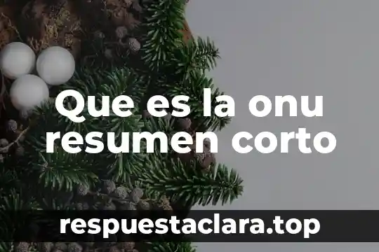 Que es la onu resumen corto