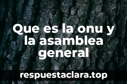 Que es la onu y la asamblea general