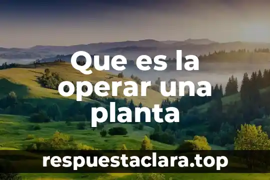 Que es la operar una planta