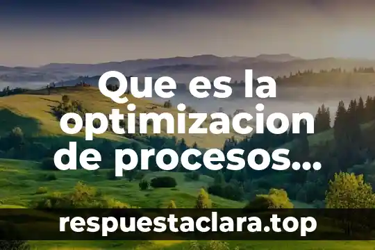 Que es la optimizacion de procesos productivos