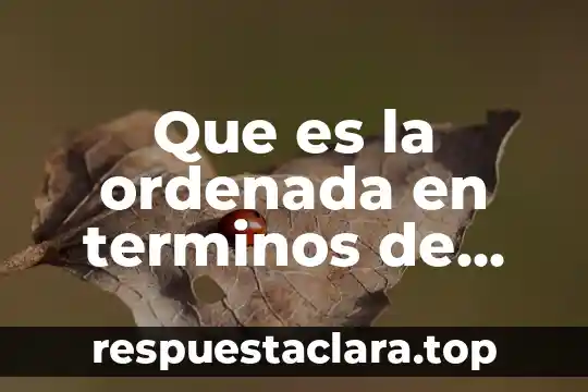 Que es la ordenada en terminos de calculo