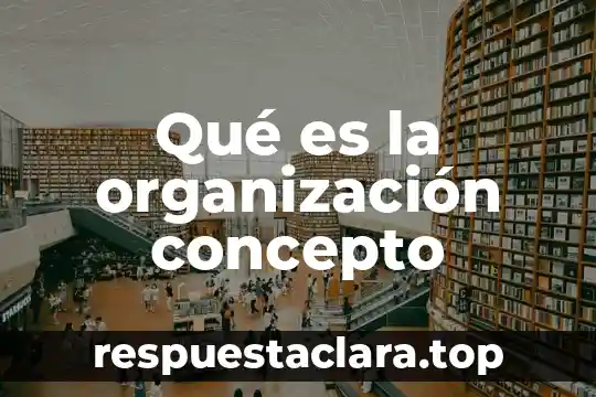 Que es los valores de una organizacion 3 Qué es la organización concepto