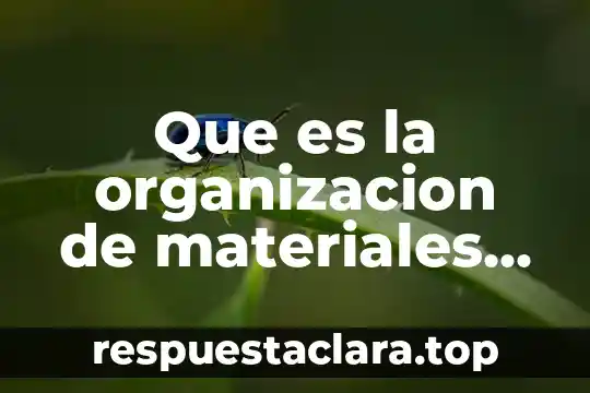 Que es la organizacion de materiales en una bodega