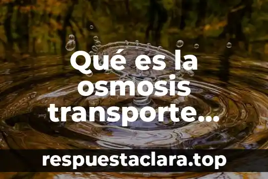Qué es la osmosis transporte activo