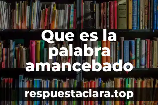 Que es la palabra amancebado