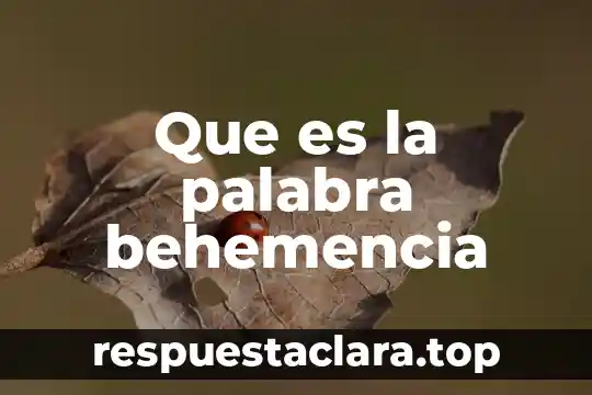 Que es la palabra behemencia