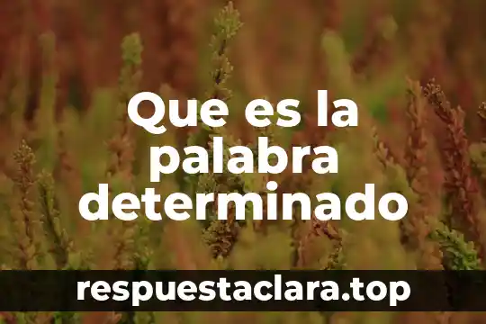 Que es el medio a 5 Que es la palabra determinado