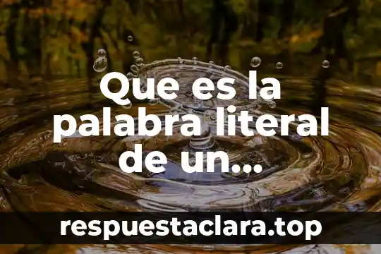 Que es literal significado 5 Que es la palabra literal de un certificado
