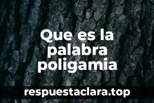 Que es el significado de la palabra volumen 7 Que es la palabra poligamia