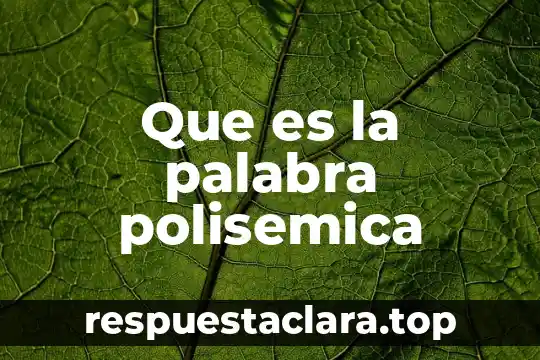 Que es la palabra polisemica