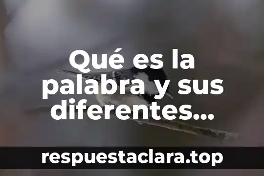 Que es significa la palabra policemiderechos de los adolecentes 7 Qué es la palabra y sus diferentes tipos