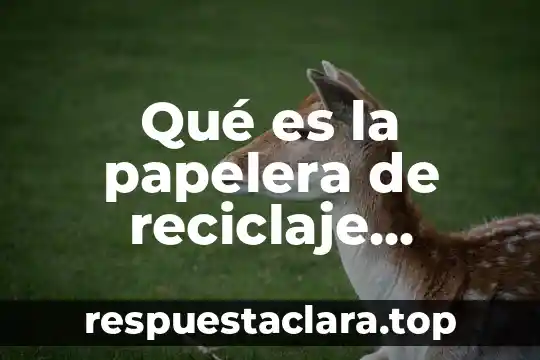 Qué es la papelera de reciclaje definición