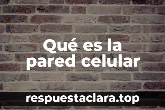 Qué es la pared celular