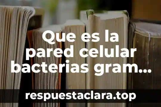 Que es la pared celular bacterias gram negativa