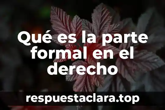 Qué es la parte formal en el derecho
