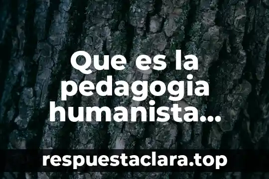 Que es anticipo de impuestos en contabilidad 5 Que es la pedagogia humanista abraham maslow