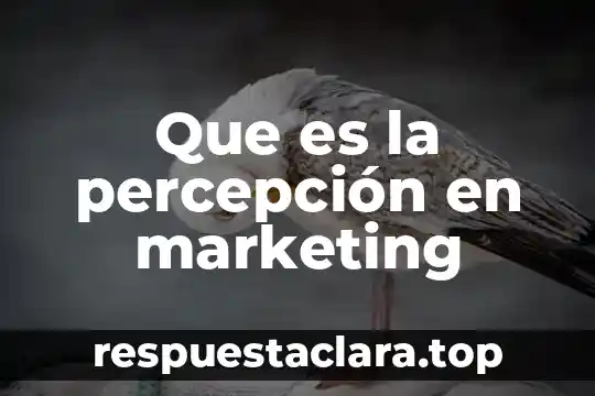 Asociación americana de marketing que es una marca 4 Que es la percepción en marketing