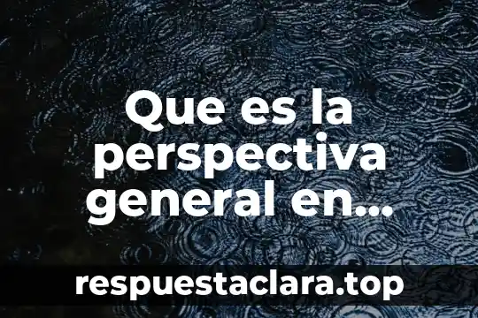 Que es la perspectiva general en desarrollo organizacional