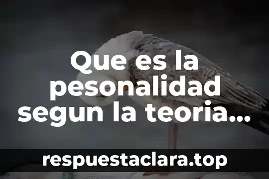 Que es teoria metodologia 8 Que es la pesonalidad segun la teoria de la gestalt