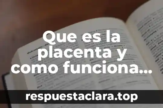 Que es la placenta y como funciona en los mamiferos