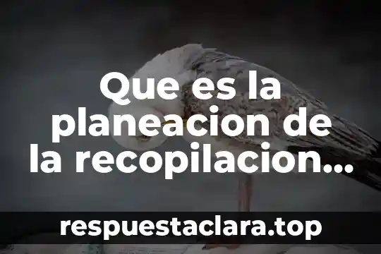 Qué es el sistema general de planeación territorial sedatu 8 Que es la planeacion de la recopilacion de informacion