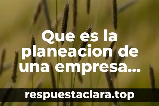 Que es la planeacion de la recopilacion de informacion 6 Que es la planeacion de una empresa libros