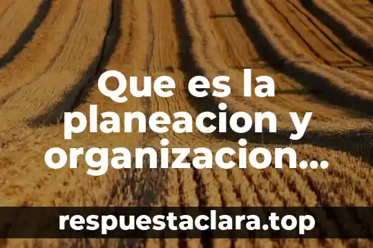 Que es la planeacion y organizacion del trbajo