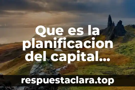 Que es una sociedad de inversion capital 6 Que es la planificacion del capital humano