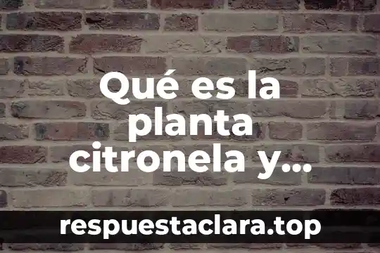 Qué es la planta citronela y para qué sirve