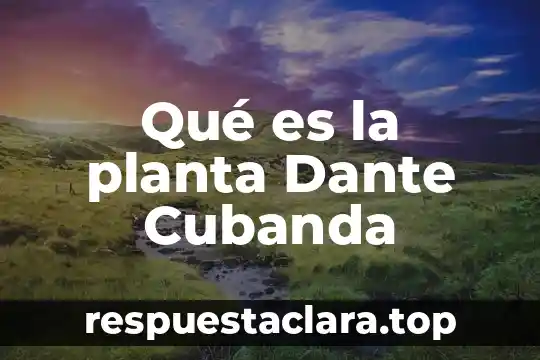 Qué es la planta Dante Cubanda