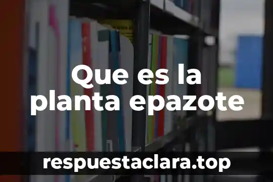Que es la planta epazote