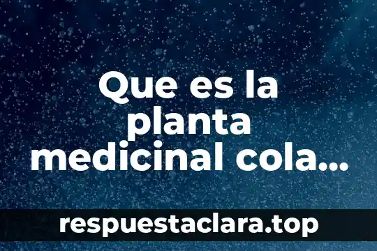 Que es la planta de laguna verde 4 Que es la planta medicinal cola de caballo