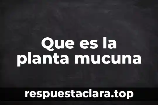 Que es la planta mucuna