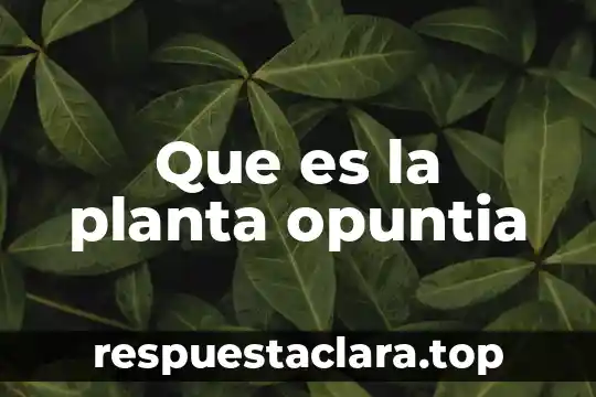 Qué es una planta industrial 6 Que es la planta opuntia