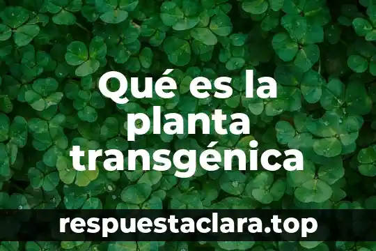 Qué es la planta transgénica