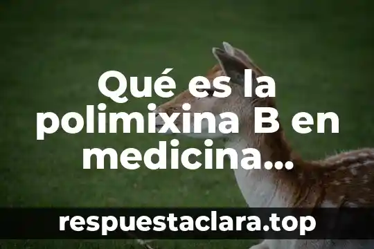 Qué es la polimixina B en medicina veterinaria