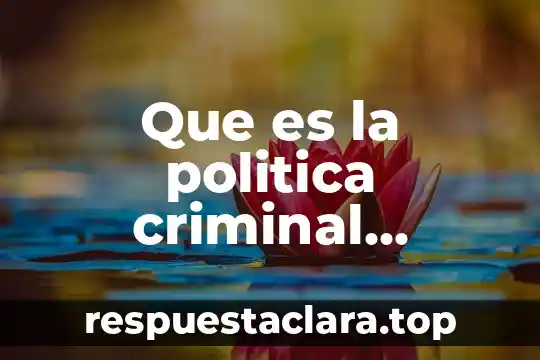 Que es la politica criminal estatal