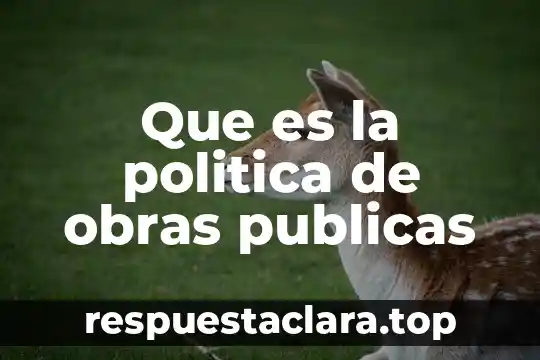 Que es la politica de obras publicas