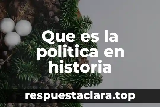 Que es la politica en historia