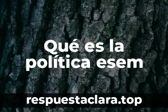 Qué es la política esem