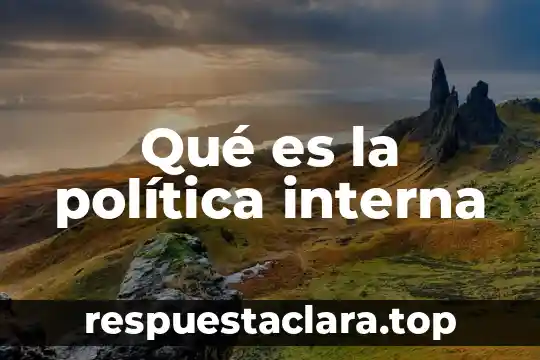 Qué es la política interna