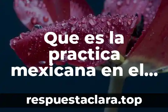 Que es la practica mexicana en el derecho