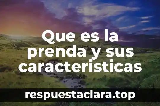 Que es fiasco significado 5 Que es la prenda y sus caracteristicas